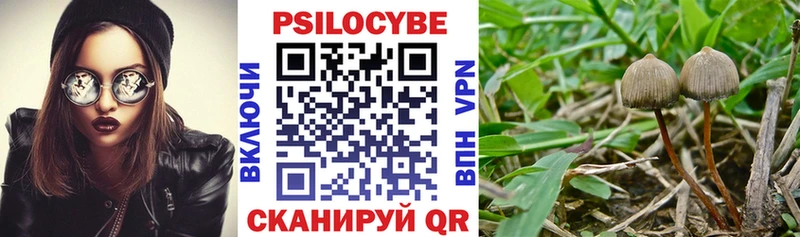 Псилоцибиновые грибы мухоморы  купить наркоту  Спасск-Дальний 